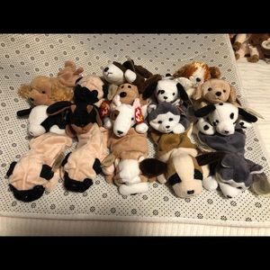 (50) Dog TY Beanie Babies